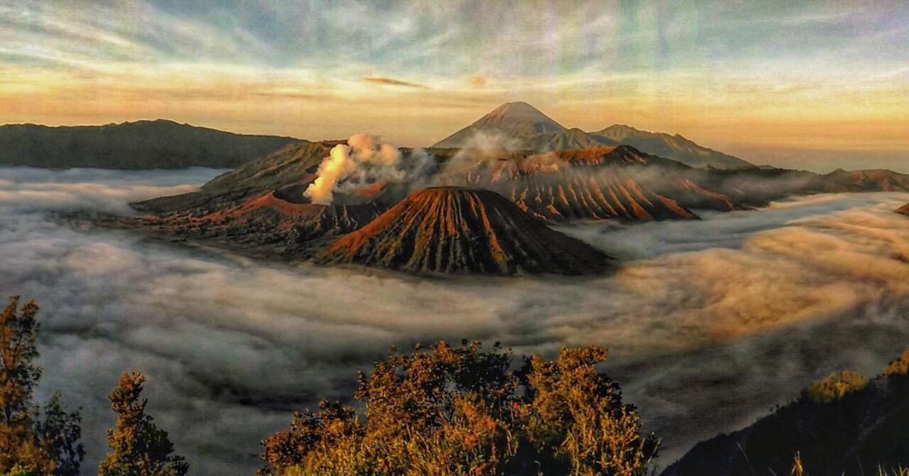Ijen Transito 호텔 Ketapang  외부 사진