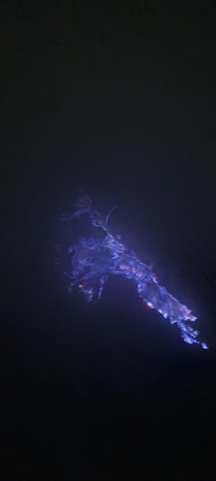 Ijen Transito 호텔 Ketapang  외부 사진