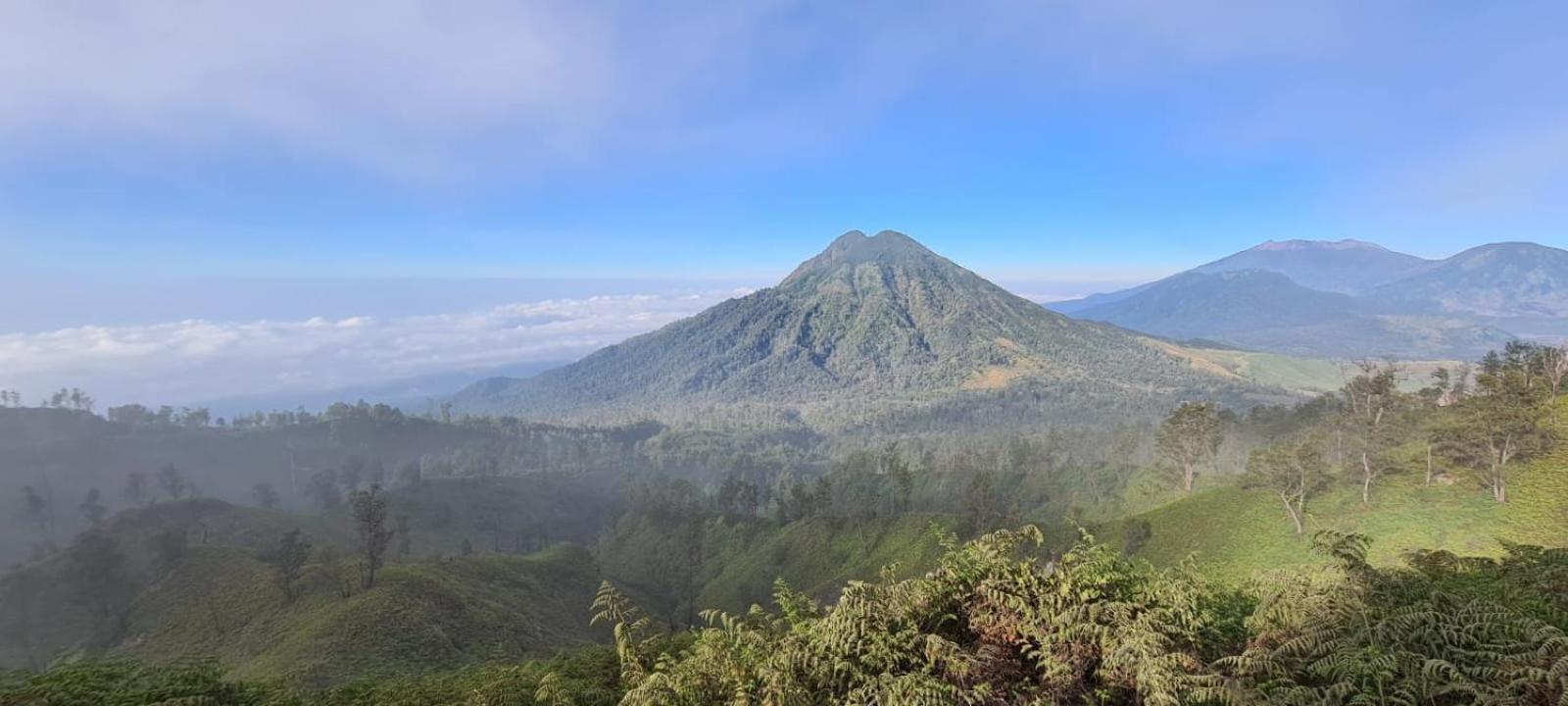 Ijen Transito 호텔 Ketapang  외부 사진